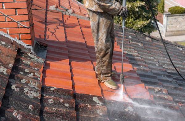 Roof Cleaning 2