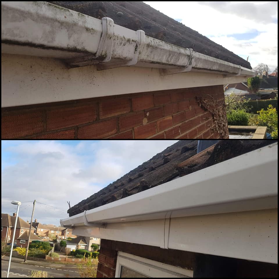 Roof Gutter Cleaning