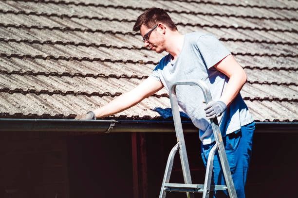 Roof Cleaning 4