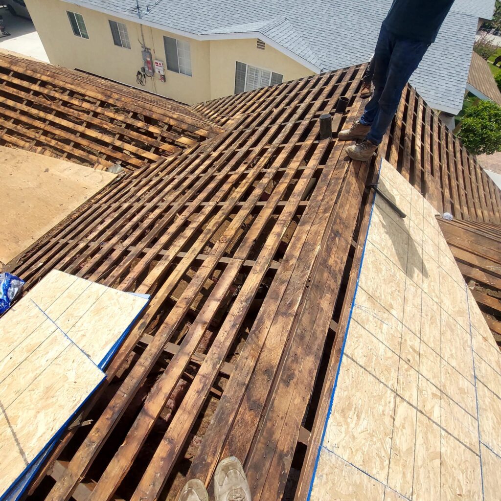 Roof Replacement 3