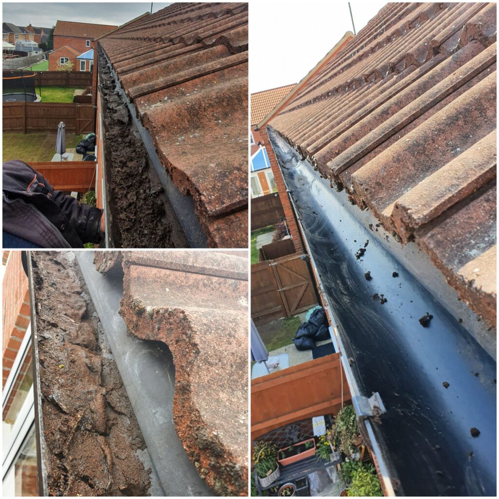 House Gutter Cleaning
