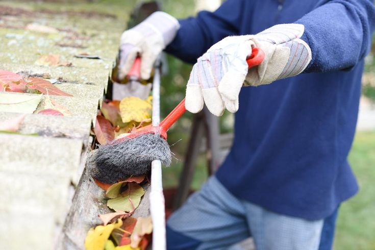 Rain Gutter Cleaning Service