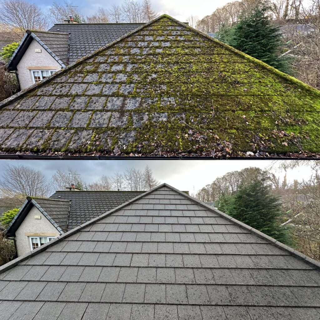 Roof Cleaning and Moss Removal