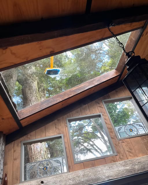 Skylight Cleaning