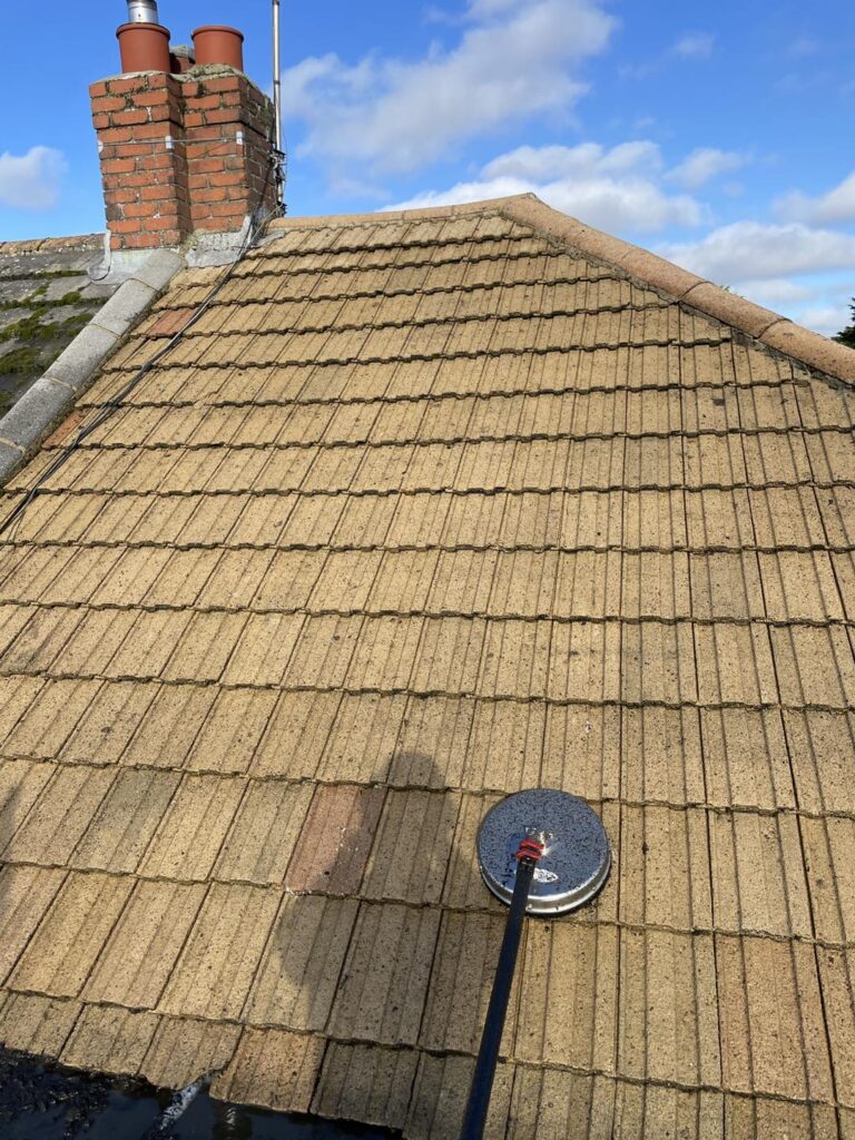 Soft Wash Pressure Cleaning