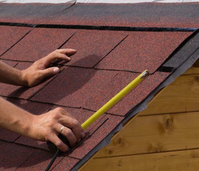 Roof Leak Inspection
